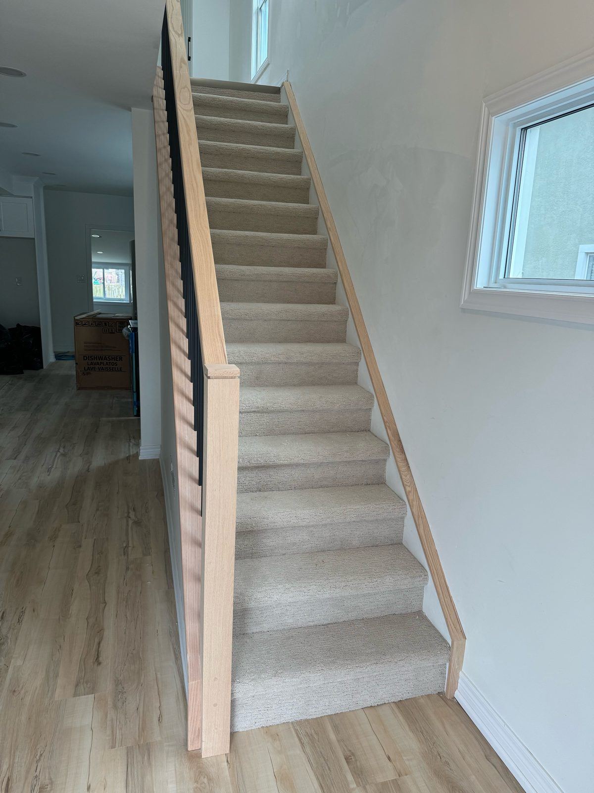 Carpeted staircase, straight run